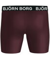 BOXERKY BORG | PERFORMANCE BOXER X3 | BLACK+BURGUNDY +BLACK