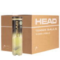 Tenisové loptičky HEAD TOUR XT 