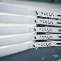 Speed PRO 2022