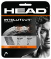 Intellitour