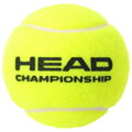 3B HEAD CHAMPIONSHIP - 6DZ