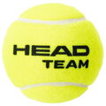 3B HEAD TEAM - 6DZ