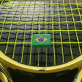 Tlmič Brazilia