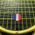 Tlmič France
