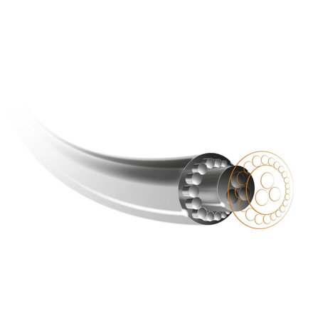 FXP
