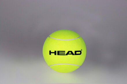 HEAD Medium Inflatable Ball