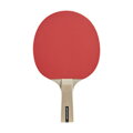 Stolní tenis pálka DUNLOP MATCH SET 2-player BAg