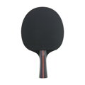 Stolní tenis pálka DUNLOP BLACKSTORM