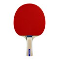 Stolní tenis pálka DUNLOP RAGE