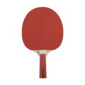Stolní tenis pálka DUNLOP NITRO POWER