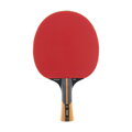 Stolní tenis pálka DUNLOP EVOLUTION 1000